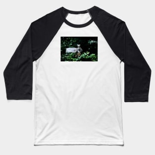 Wild cat II / Swiss Artwork Photography Baseball T-Shirt